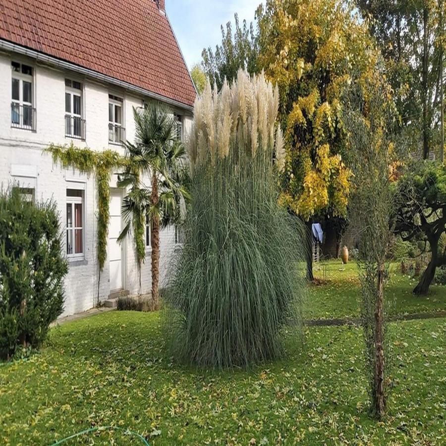 Gite La Riviera Wargnies-le-Grand Luaran gambar